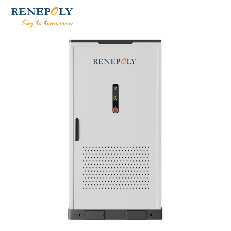 Renepoly CE 100kW/215kWh BESS Module Battery Energy Storage System Industry and Commerce Solar Energy Power Storage Equipment