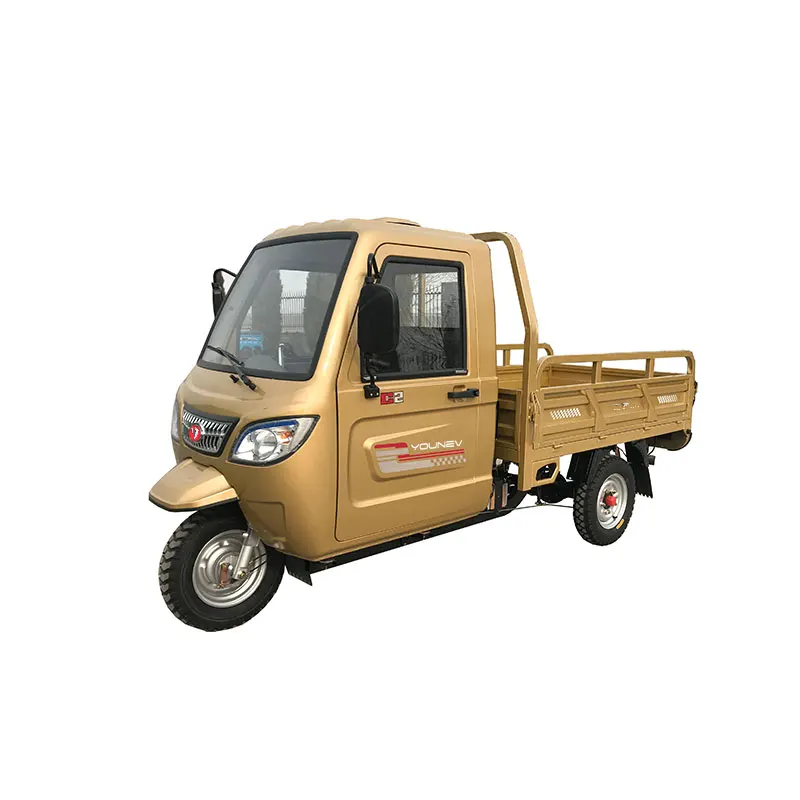 YOUNEV 250cc Wholesale high quality heavy load three wheel motorcycle gasoline engine cargo tricycle