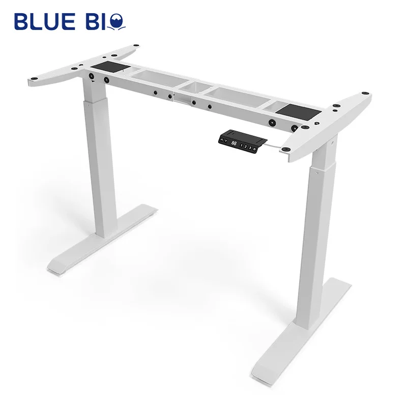 Dual Motor 2 Sections Hight Adjustable Desk Frame Height Memory Function Table Home Office Standing Desk