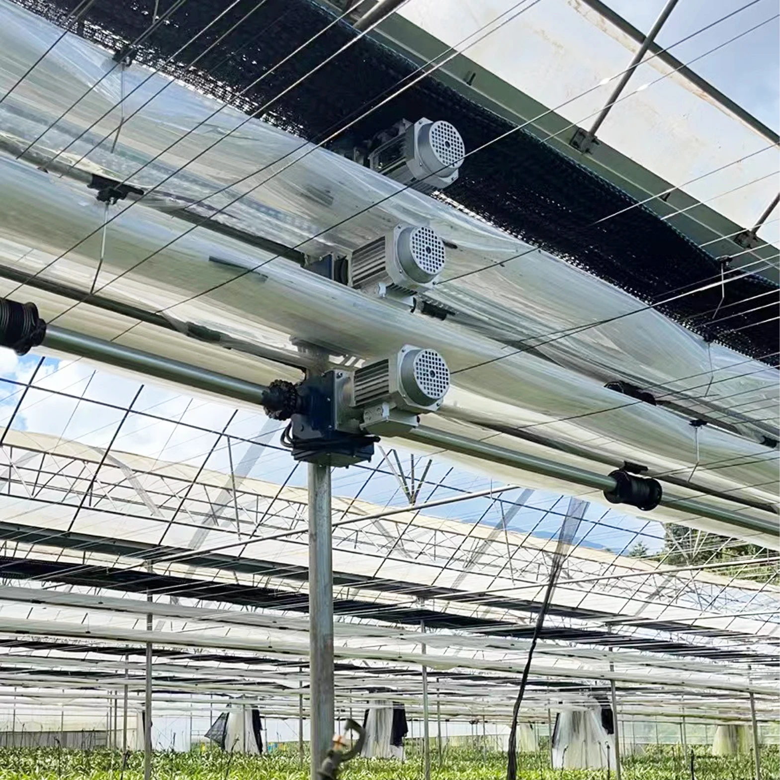 Maxpower reducer motor gearbox motor reducer gear box greenhouse gear motor