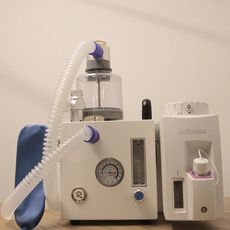 Online Shop Turkey Excellent Performance Other Veterinary Instrument Anesthesia Machine for Vet