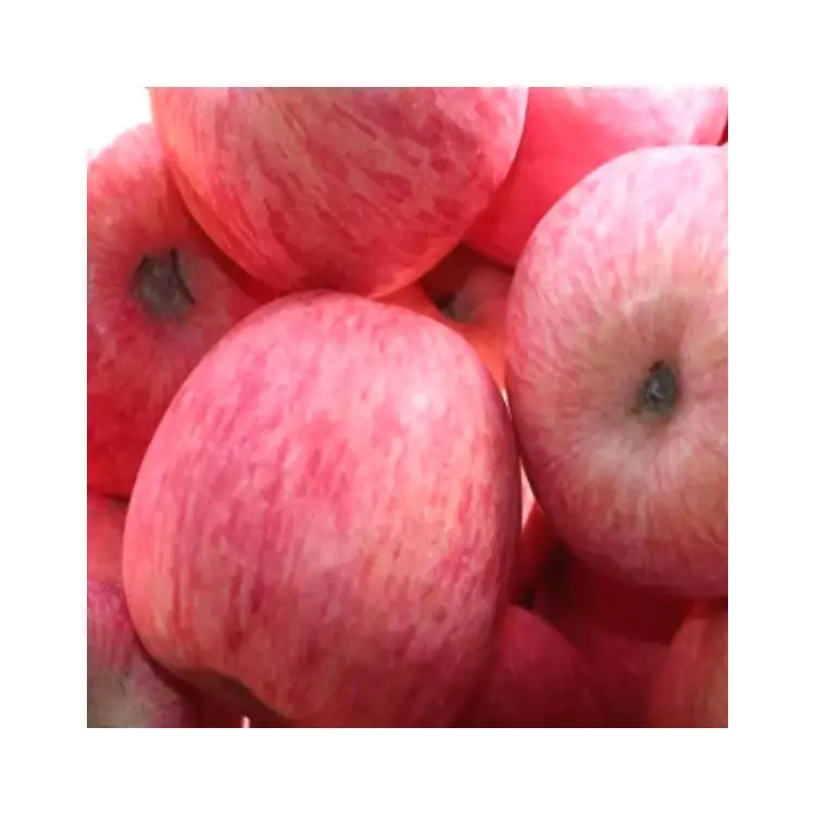 Manufacturers Direct Selling apples chinese fresh red fuji apples