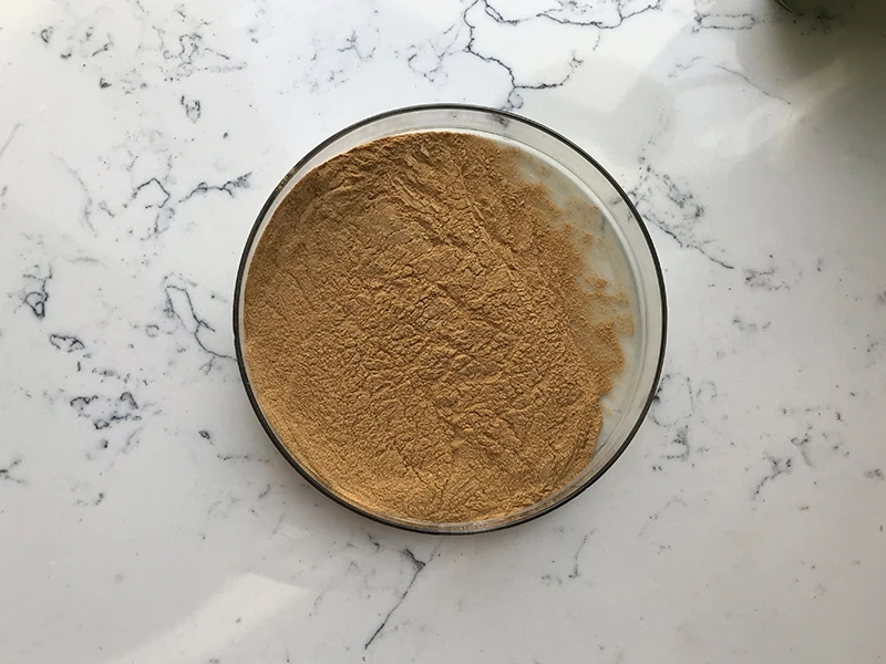 Natural Supplements 7% Organic Silicon Horsetail Extract