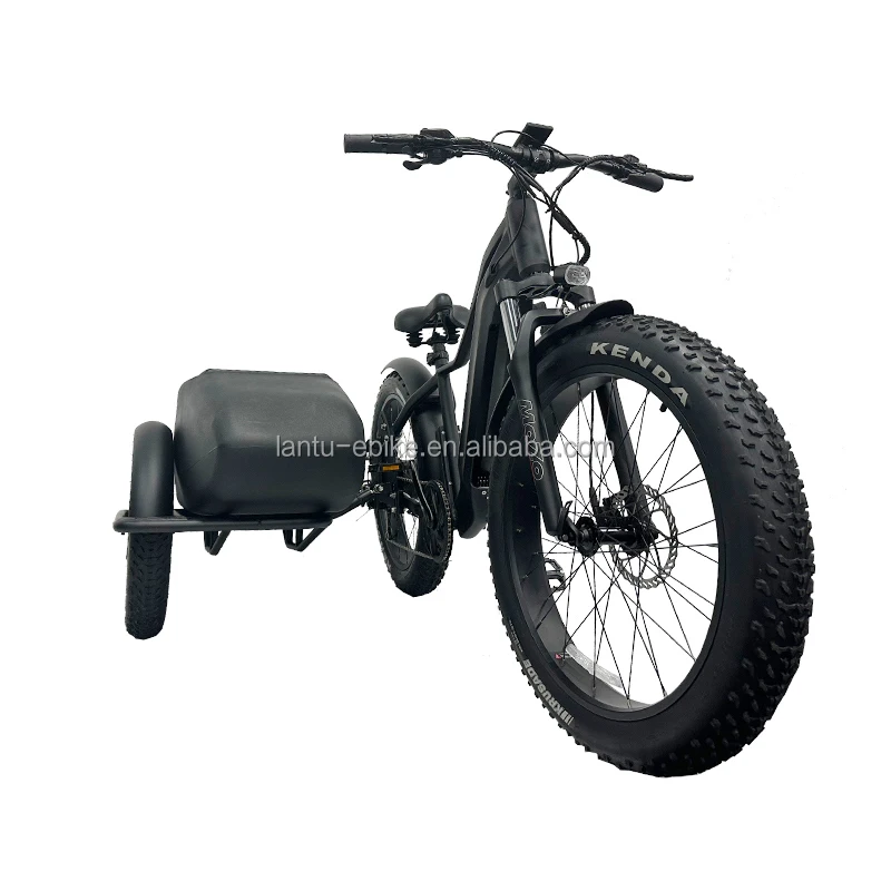 retro style wholesale price cargo ebike with sidecar 3 wheel 750w 1000w 48v fat tire electric bike side car ebike for sale