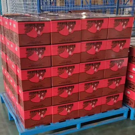 Baking yeast factory supply Instant Dry Yeast in hot sales