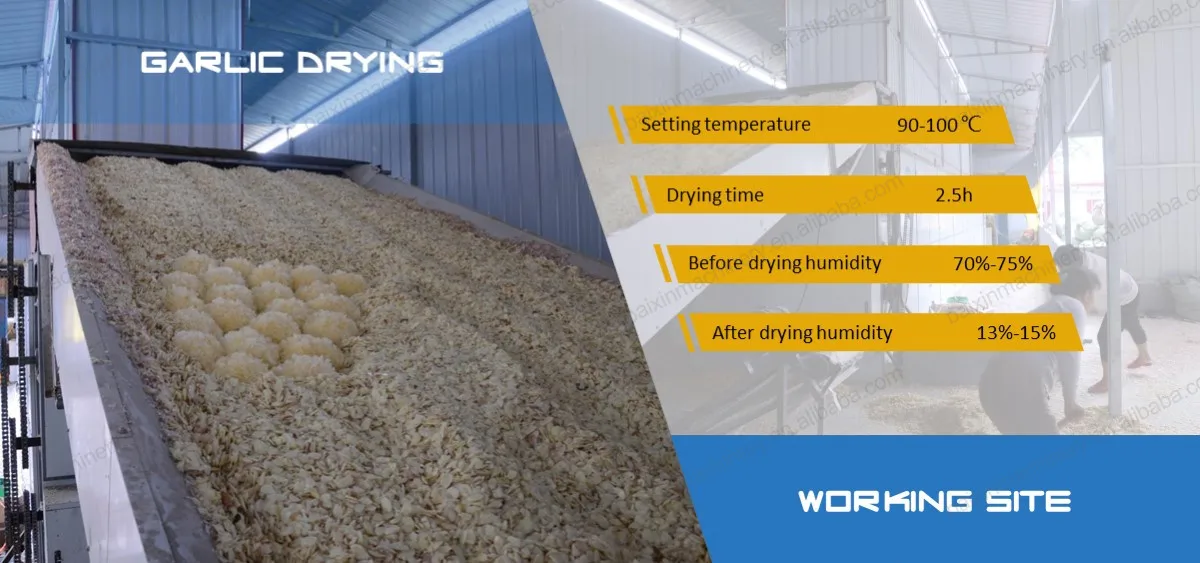 Continuous dryer (8).jpg