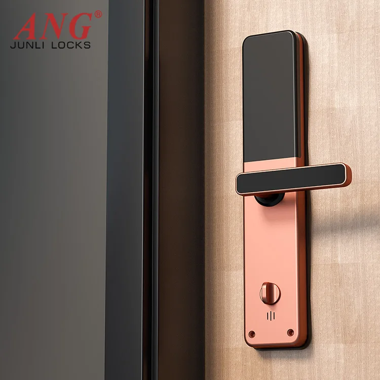 Hot Selling Outdoor Fingerprint Card Digital Wooden Door Lock Ttlock Smart Wifi Door Lock For Hotel