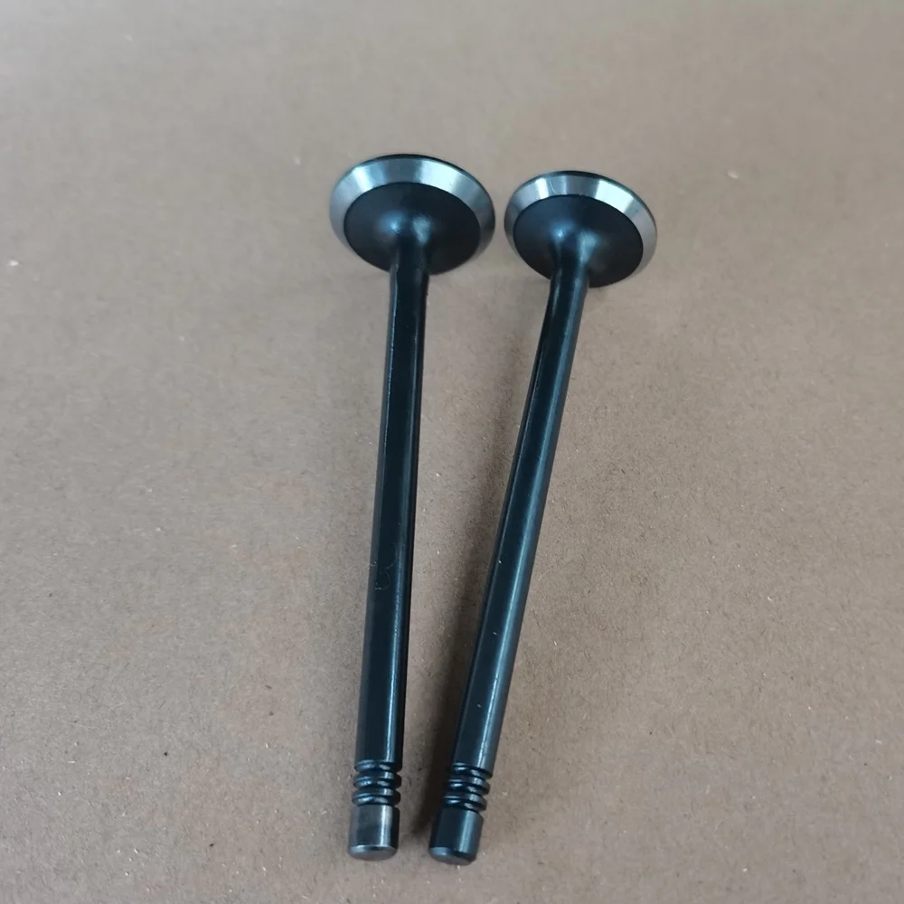Auto parts 13201-00Q0E 13202-00Q0G for Infiniti EX30d FX30d QX70D Navara Pathfinder  Latitude V9X 3.0L engine valve