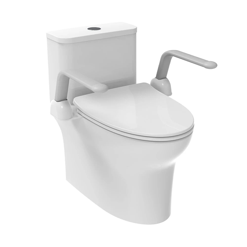 Handrail Bars Disabled Bathroom Handicap Toilet for Home and Hotel Toilet