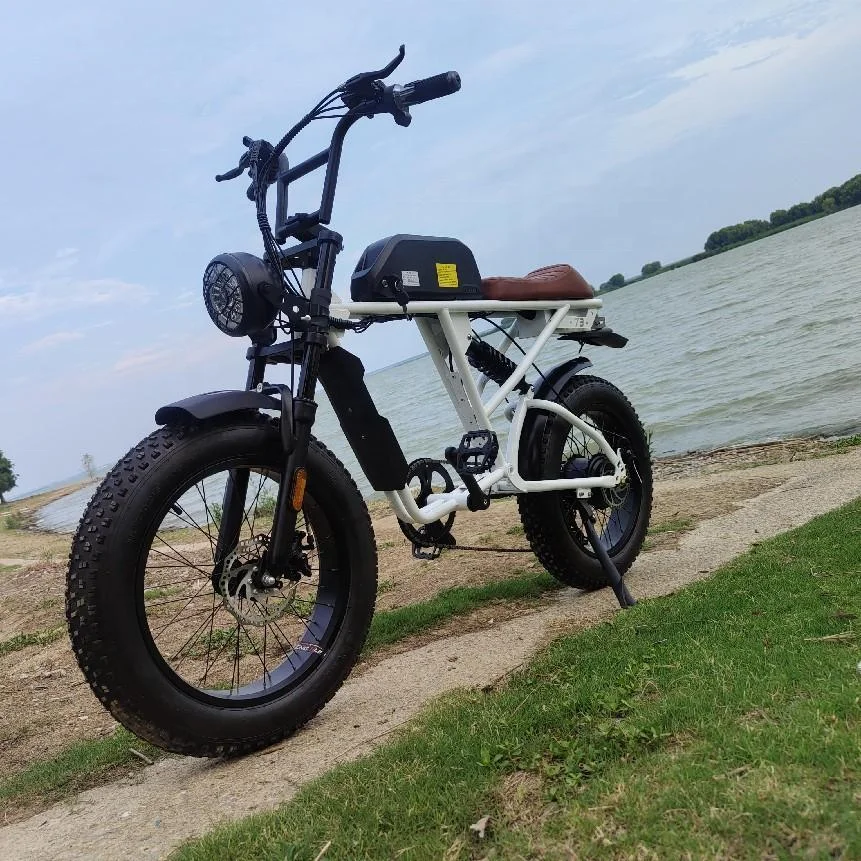 Electric Fat Tire Bike Retro Moped Style -4 Scout Yuanjian Ebike Pedal Assisted Vintage Electric Bikes