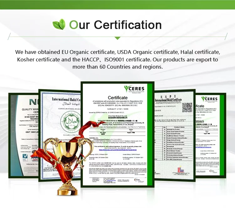 China Manufacturer High Quality Bamboo Leaf Extract