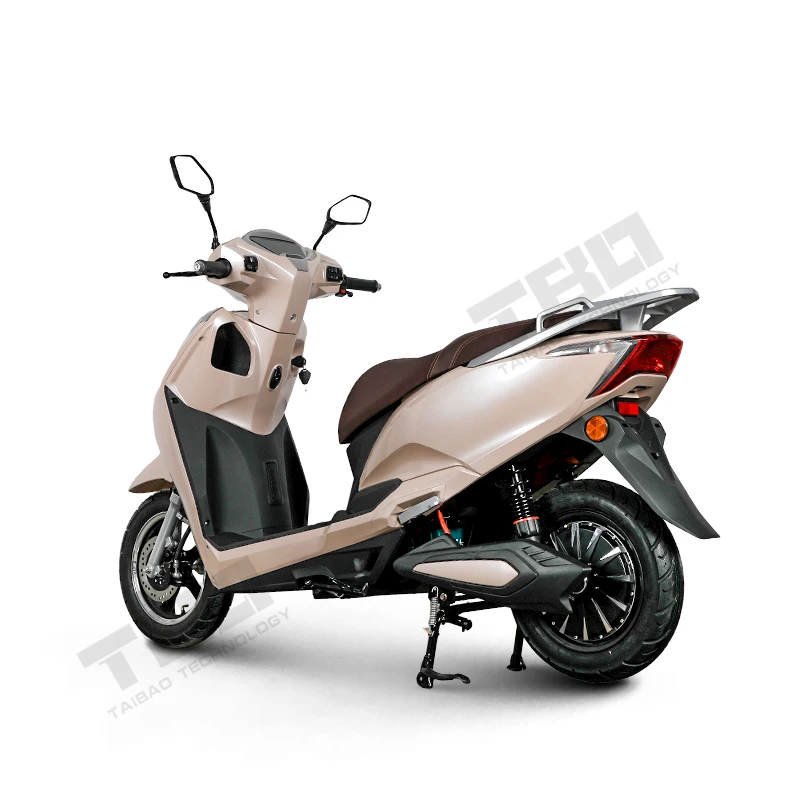 Electrica in One Bike for Adults Electric Bicycle with Super Motors for High Speed E-Bike E-Scooter