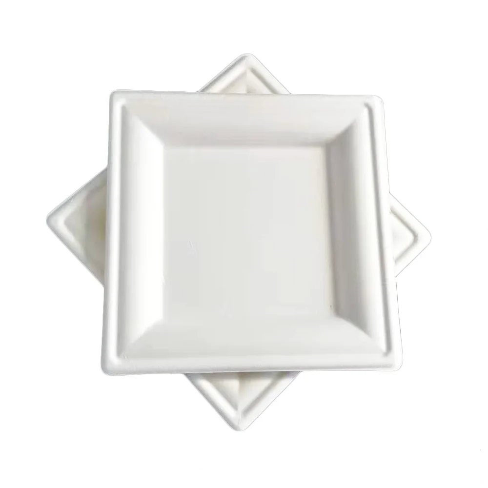 
Plant fiber 6 inches square eco friendly disposable plates moulded pulp party paper plate for outdoor picnic 