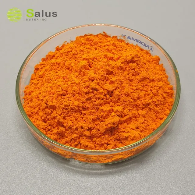 Factory Price Bulk Natural Curcuma Extract curcumin 95%