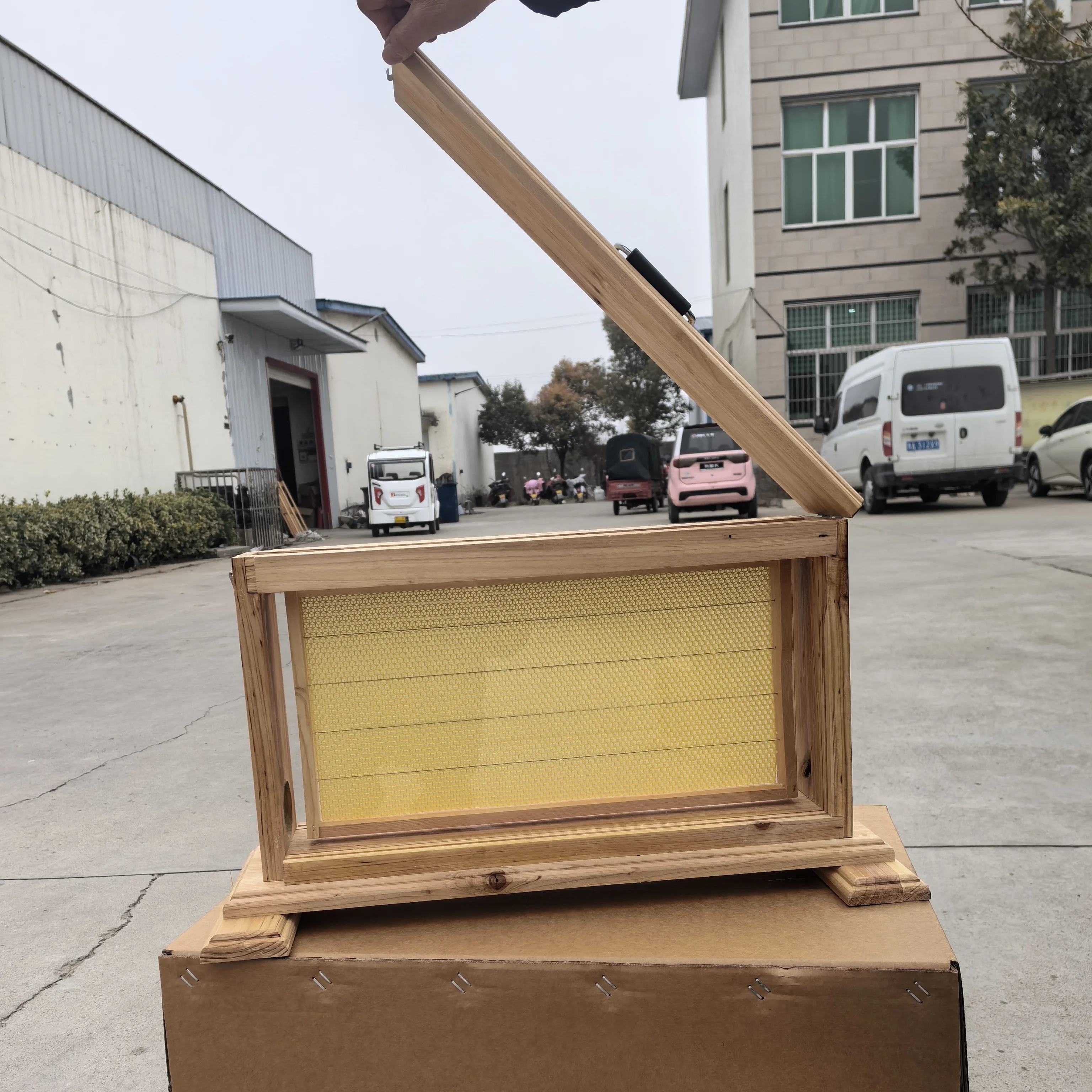 Оборудование для пчеловодства Образовательное наблюдение улей деревянный прозрачный ящик