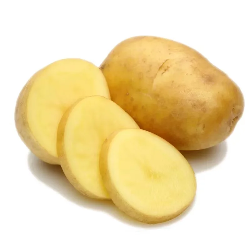 new crop fresh organic vegetables  wholesale potato price of potato in bulk