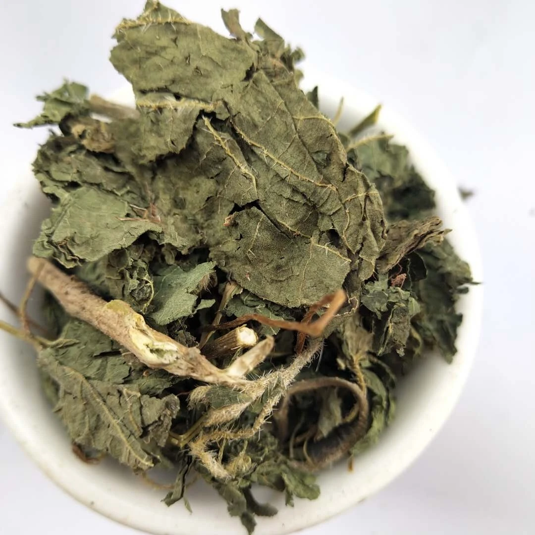 OEM Packing Natural Dried Nettle Leaf Tea In Stock Dry Nettle Leaf Herb Tea Private Label Dried Stinging Nettle Leaves