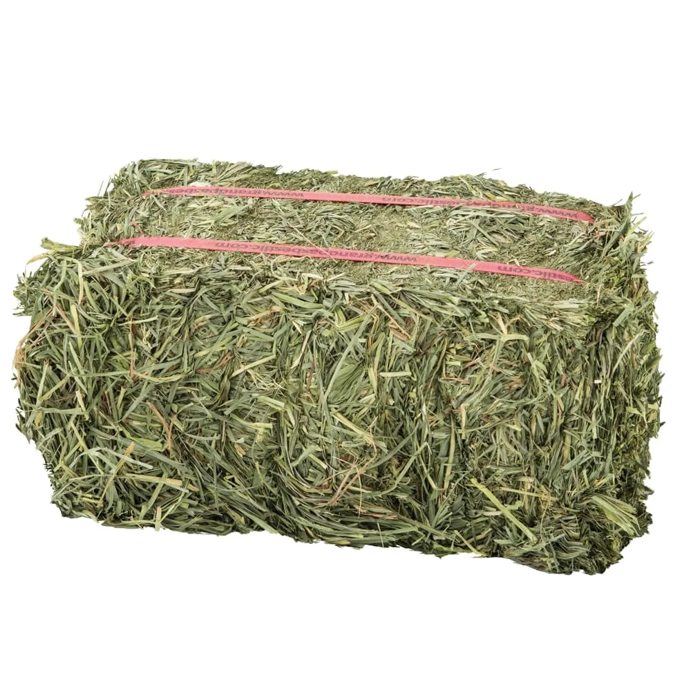 Cheap Top Quality Alfafa Hay for Animal Feeding Stuff Alfalfa hay/Timothy