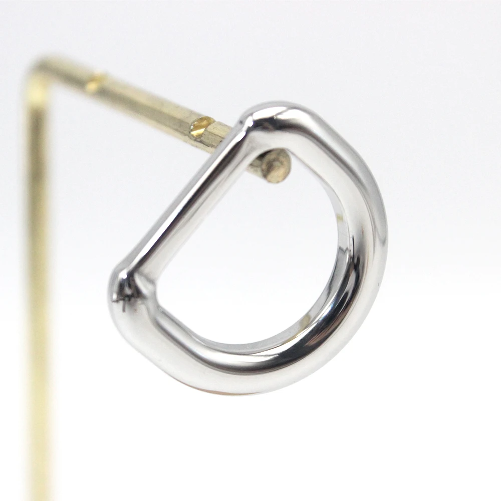 Bags Stainless Steel D Rings Wide Applications Metal D Rings Custom Logo Support Luxury Handbags Metal Accessories
