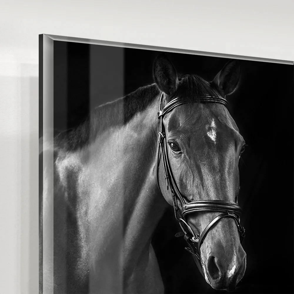 Hot Selling Black&White Horses Acrylic Wall Art Prints Canvas Art Work Frameless Acrylic Painting Oil Painting for Wall Decor.