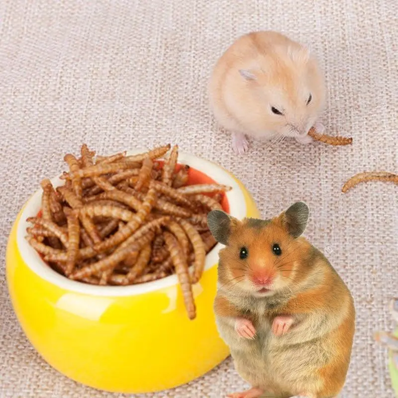 Chinese factory made pet poultry feed freeze dried mealworms wholesale dried mealworms dried superworm