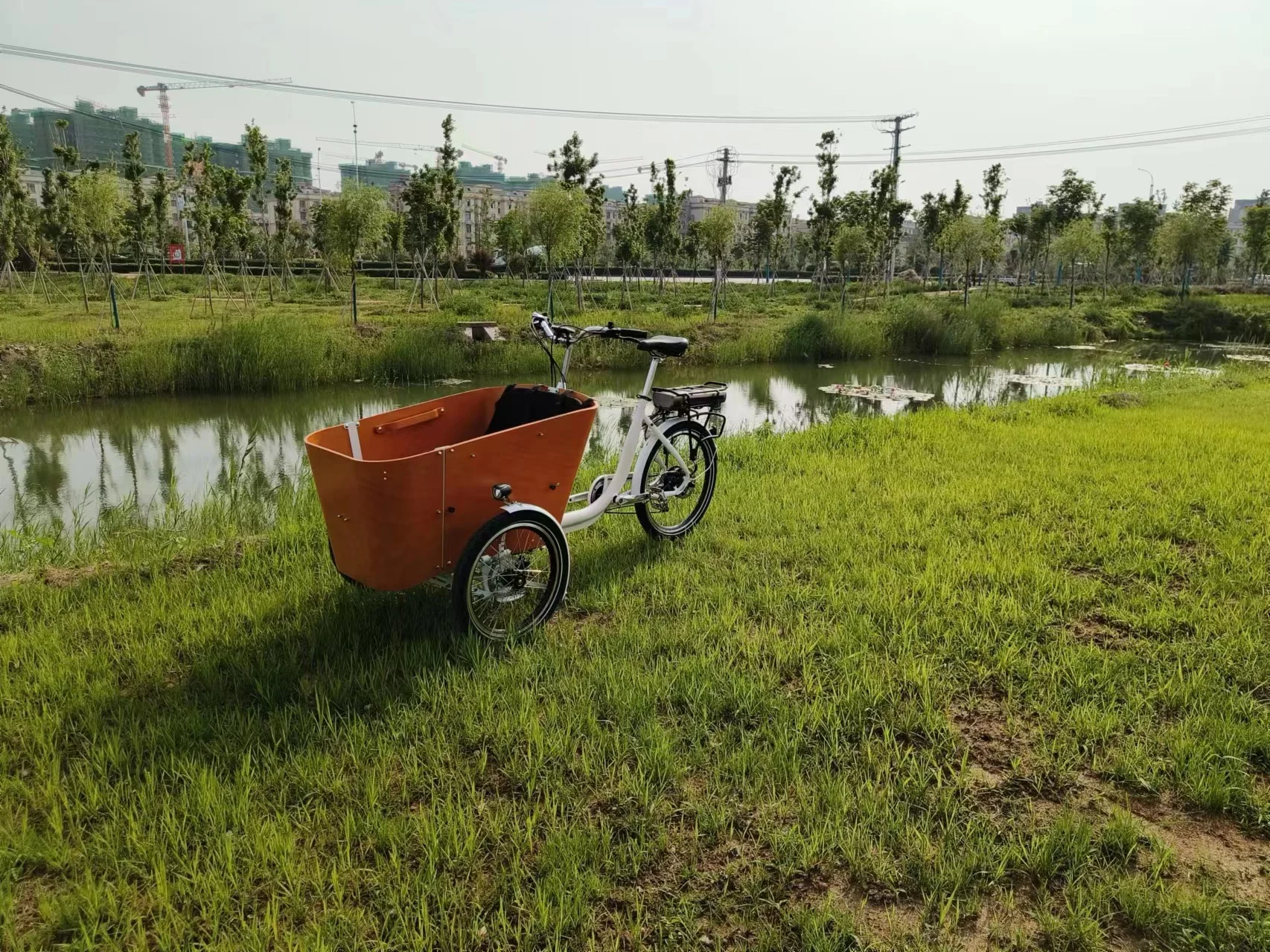 Europe Electric cargo trike CE family bike electric cargo bike three wheel electric cargo tricycle