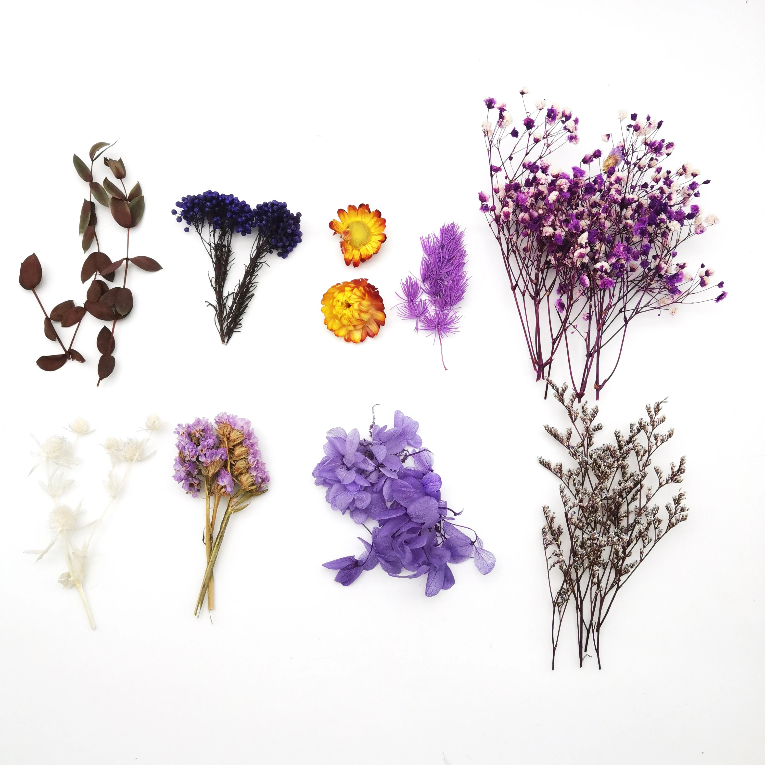 Заводская поставка сухие цветы для смолы ручная работа натуральные babysbreath