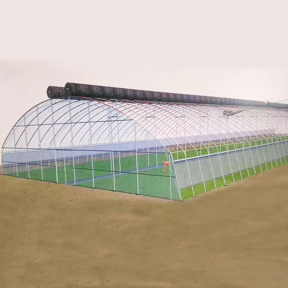 Agriculture Insulated tunnel greenhouse