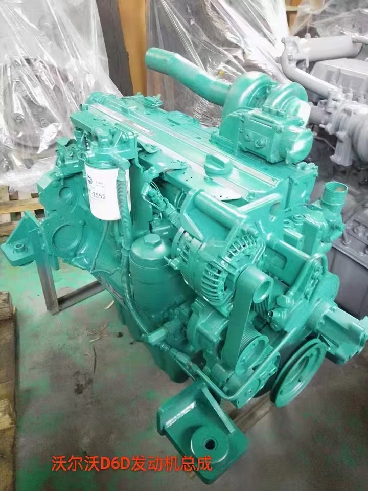 Machinery Engines D6D Diesel Complete Engine for EC210BLC Excavator Engine Assy for Volvo