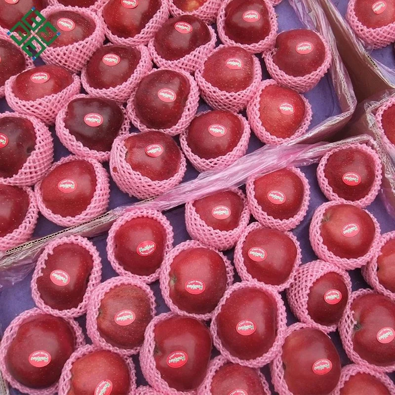 Импортеры свежих фруктов, свежие яблоки, свежие яблоки, яблоки fuji, область yantai