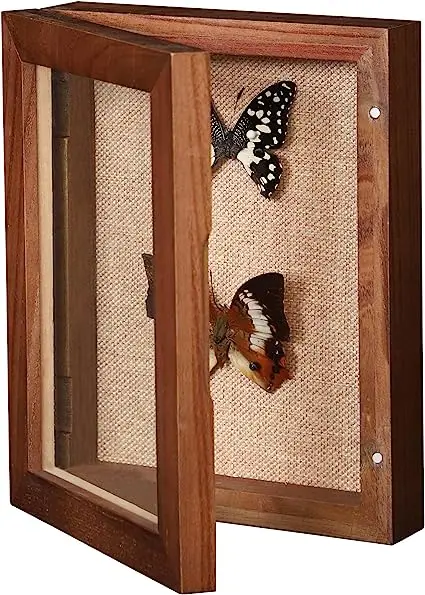 OEM Shadow Box Frame Display Area with Glass with Hinge and Magnetic Door Walnut wooden shadow box