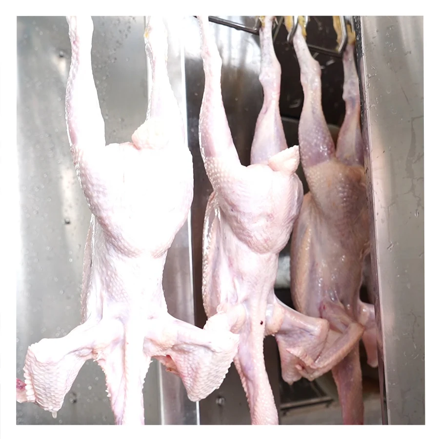 Xinbaiyun chicken divider duck pigeon quail cutting saw meat and bone cutting saw machine chicken slaughterhouse chain