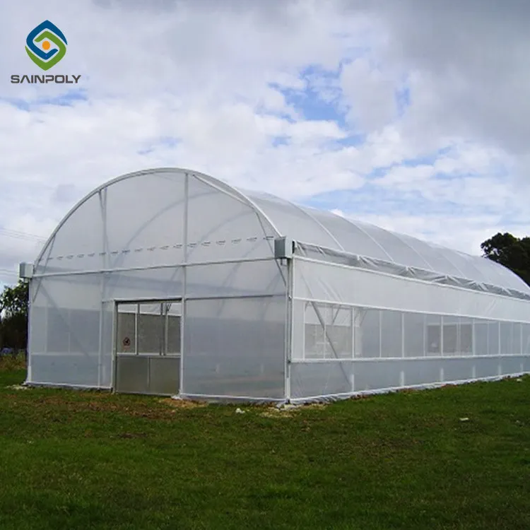 Professional High quality smart agricultural greenhouse farm for sale