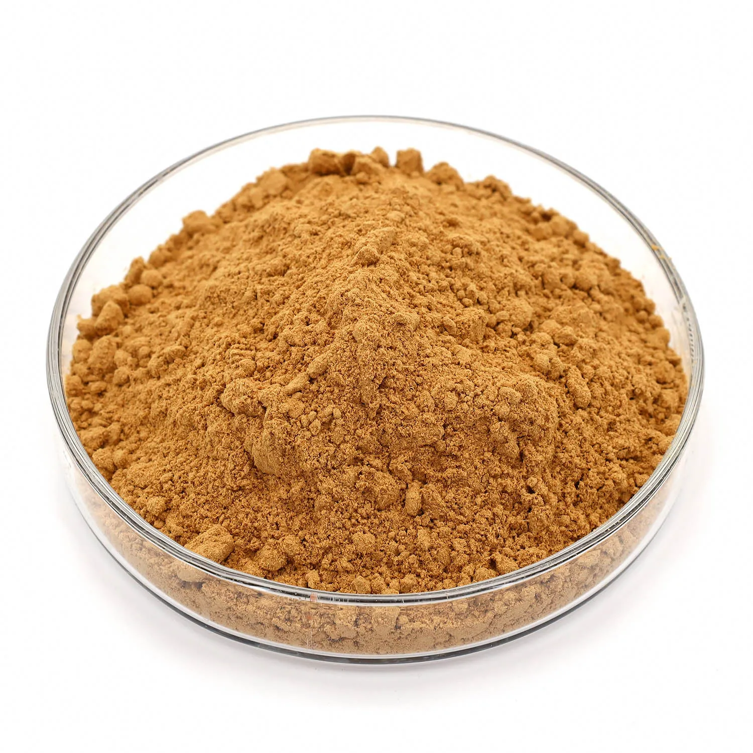 Bitter Melon P.E. Extract 10:1 Bitter Melon Peptide Powder