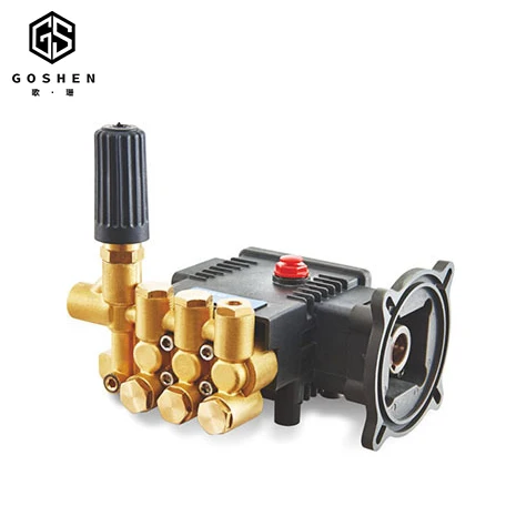 OEM 100bar плунжерный водяной насос высокого давления