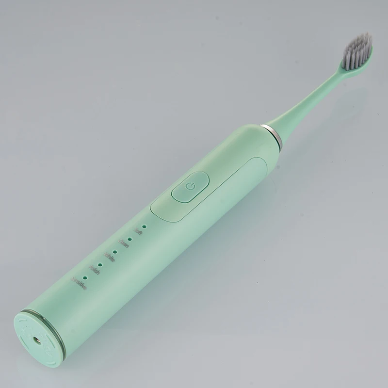 Replaceable Brush Head Electric Toothbrush Waterproof Sonic Vibration Electric Toothbrushes