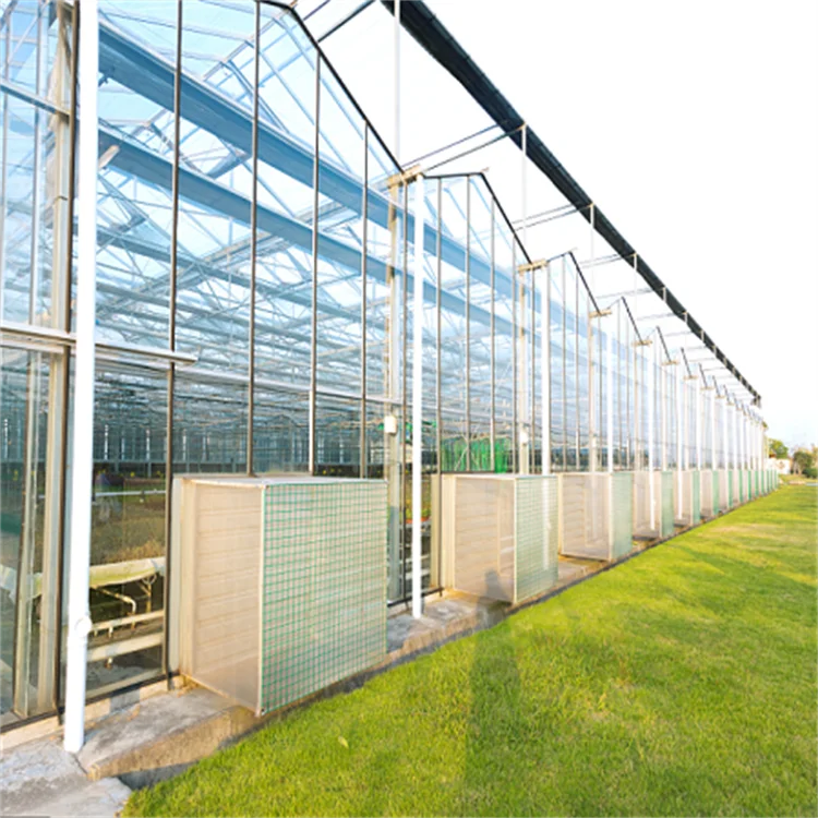 Durable wind resistant roofing vegetable venlo type automatic system multi-span glass greenhouse with irrigation system