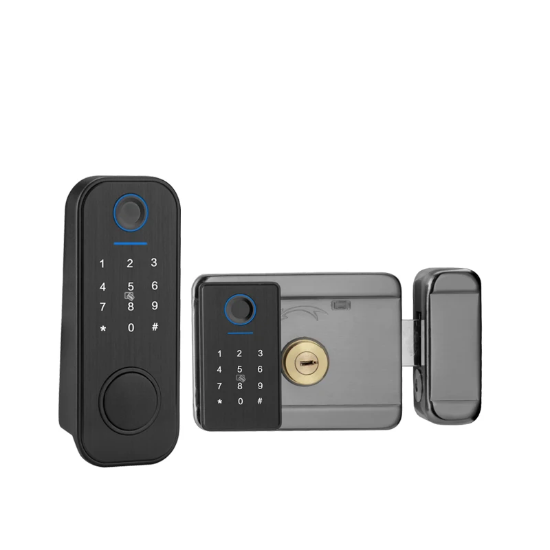 Hot selling on e commerce platform Smart Cheap Aluminum Biometric Ttlock app Tuya Double Sided Fingerprint Door Lock