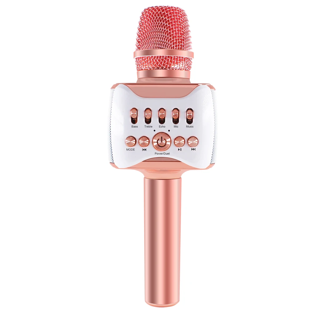 New Professional Portable Wireless Handheld Karaoke Microphone With Speaker H53 Family KTV Mic