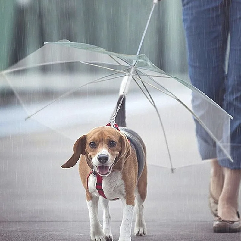 2024 Pet Umbrella Factory Price Great Material Transparent Windproof Reverse Umbrella For Pet