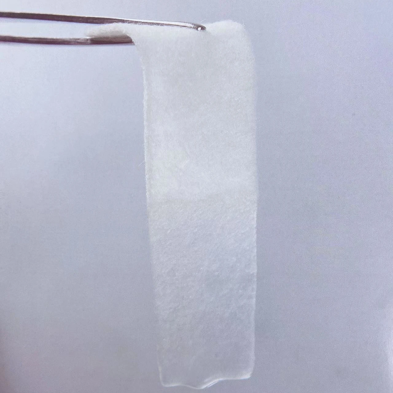 absorbent alginate dressing wound care