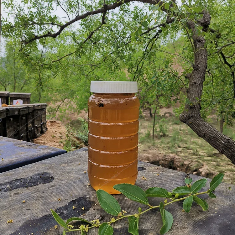 
Wholesaler SASO Approved Natural Raw Jujube Sidr Honey 
