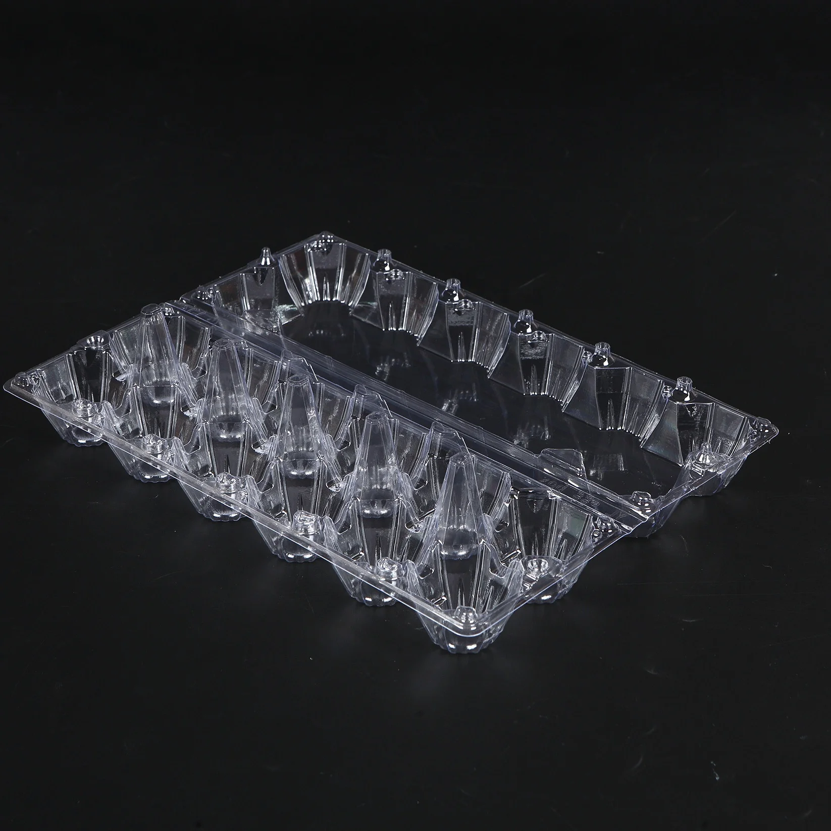[Not Eggs Sale] Plastic 12 Cells in 2*6 Jumbo Chicken Eggs Carton in Wholesale Recyclable for Duck Eggs
