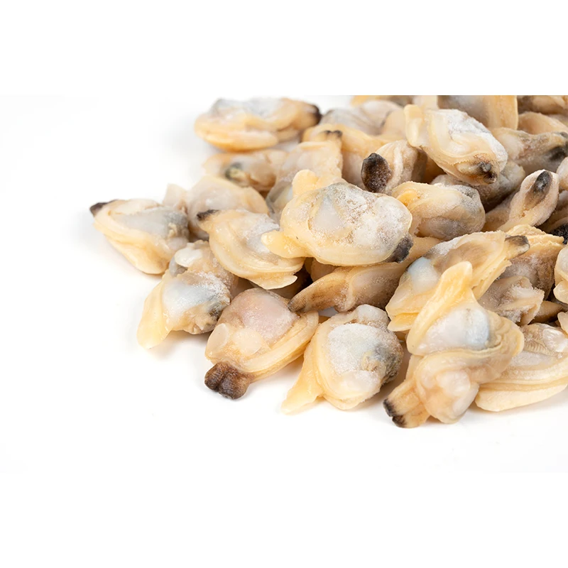 
Quality assurance clam meat delicious frozen short neck clam meat 