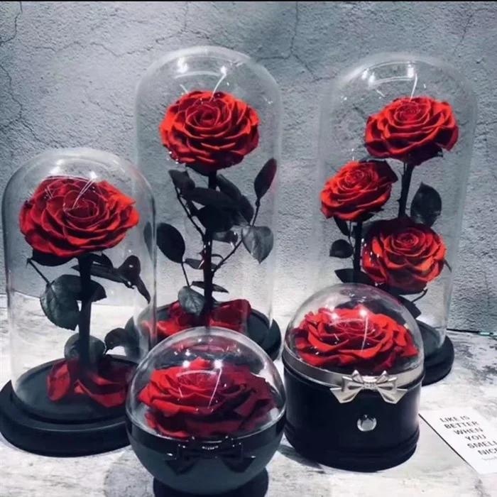 Best China Wholesale Real Touch Rosas Eternas Preservadas Forever Fresh Flower Eternal Preserved Rose In Glass Dome