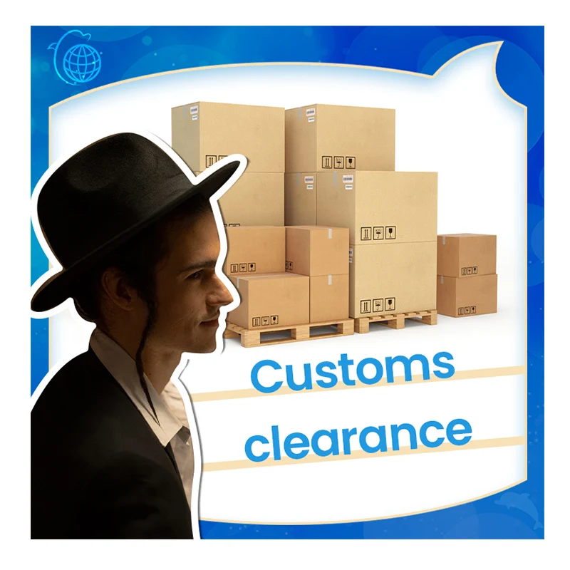 professional freight forwarder shipping from china to Israel by sea air and express with DDP