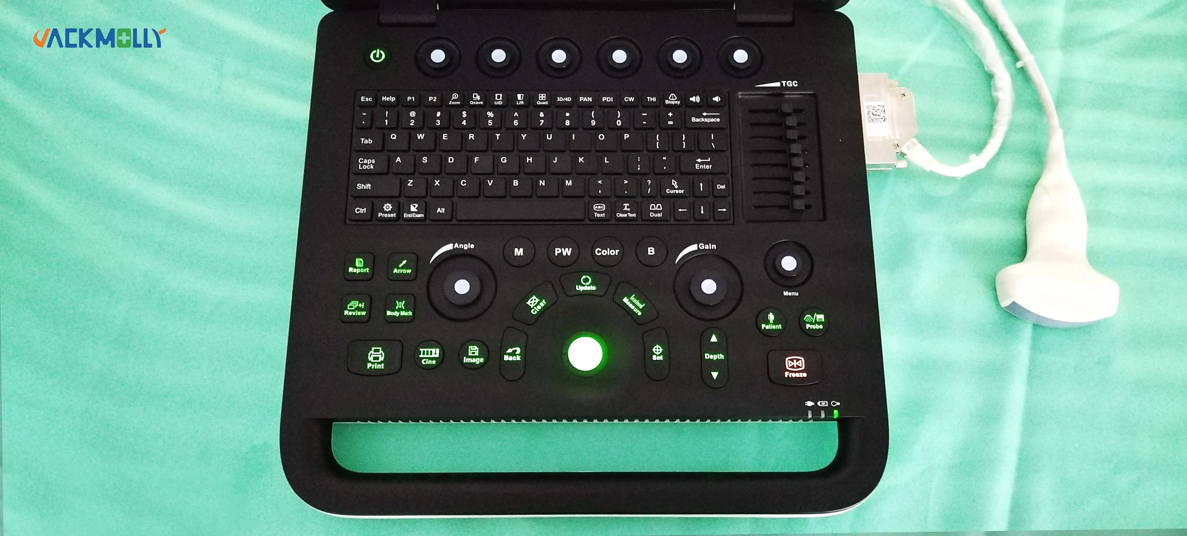 JM-800C Portable scan Cheap Rectal probe Vet Veterinary ultrasound for pig sheep cattle goat