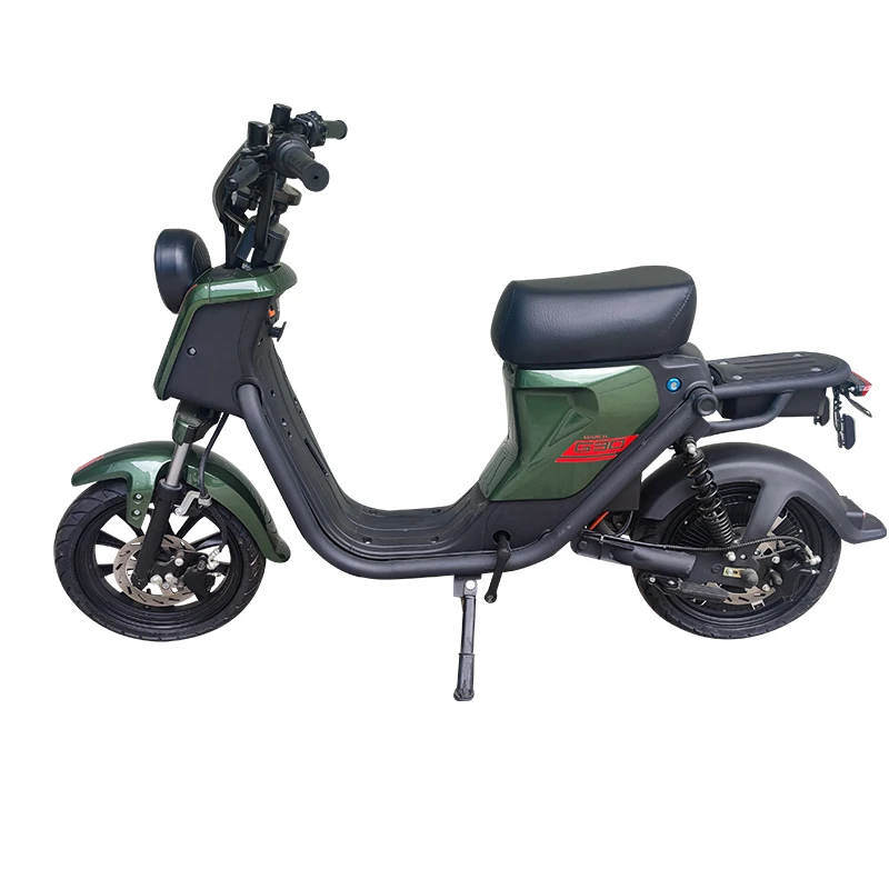 Long-lasting Lithium Battery, Dual Seat, and 17-inch Wheels - Everything You Need in an Electric Bike!