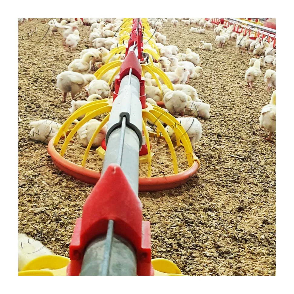 Animal husbandry broiler equipment farm with prices