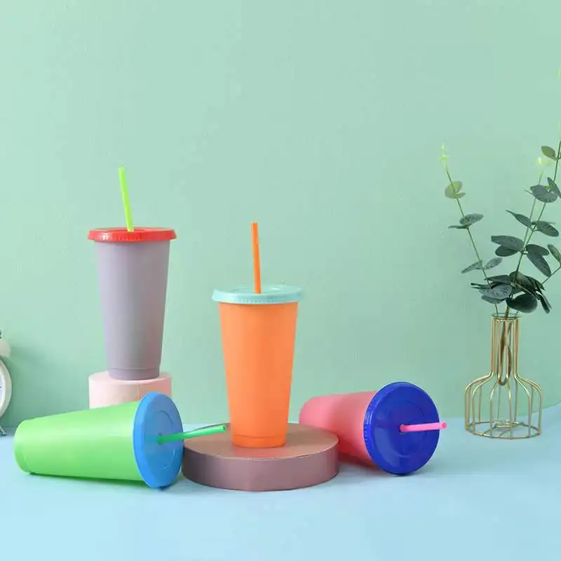 LeMuna Warm and cold color-changing cup 10-color set large capacity straw cup summer straw plastic cup